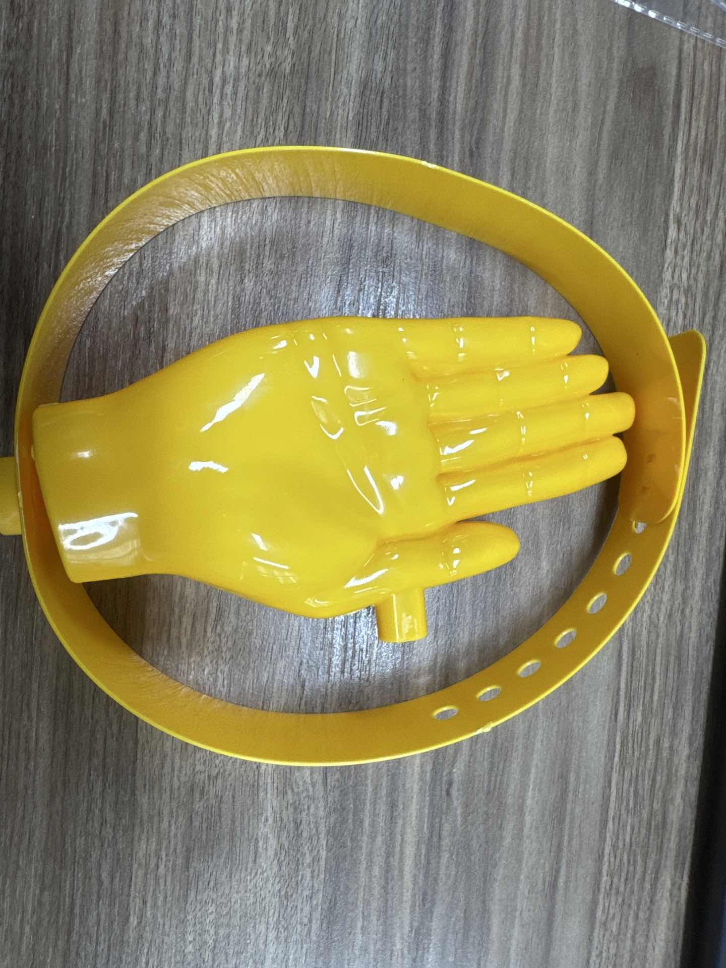 1 STKS 3D Palm Handvorm Zonnek - Travel Accessories Unisex recensie en prijs